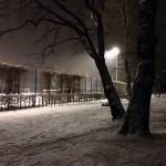 Volkspark Wilmersdorf on a snowy night